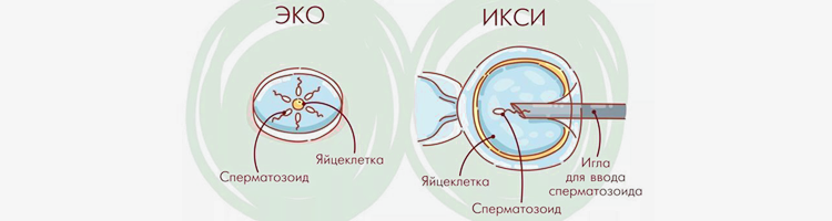 эко5.png