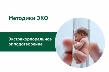 Методики ЭКО